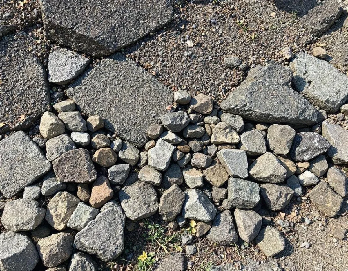 Les Nullités en Droit des Baux : Cas Pratiques et Solutions